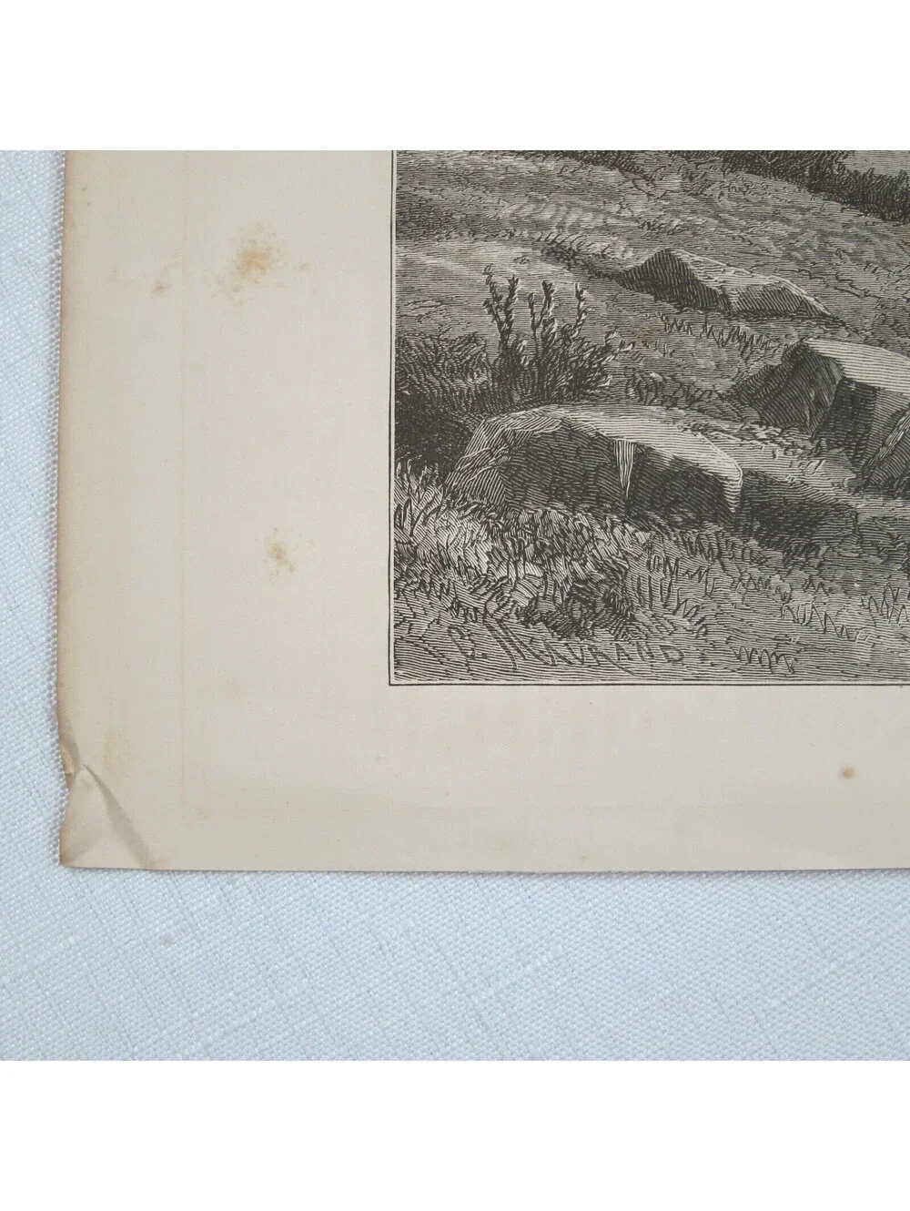 Antique 1874 Wood Engraving Print View Near Fairfield, Conn. Kruseman van Elten